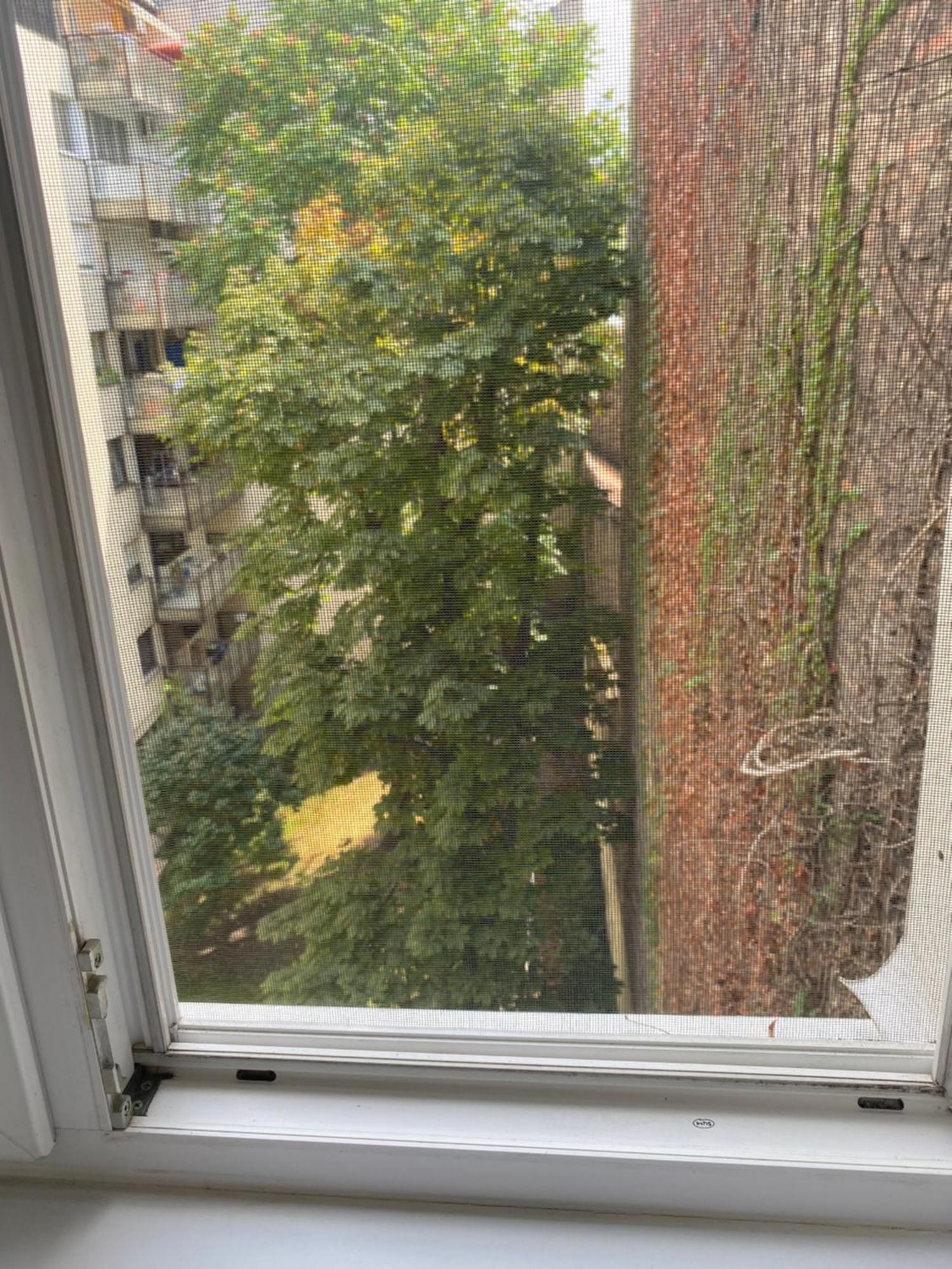 Budapest Oasis One Bedroom For Renting 外观 照片